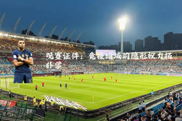 观赛证件：竞技场域的隐形权力拓扑学